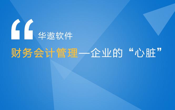 广州上华计算机软件开发 专业软件定制与数字化转型服务